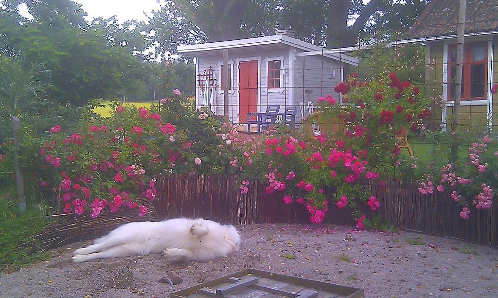 Borakra Bed & Breakfast Карлскруна Екстериор снимка